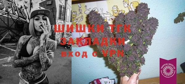молекула духа Вязники