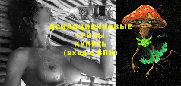 молекула духа Вязники