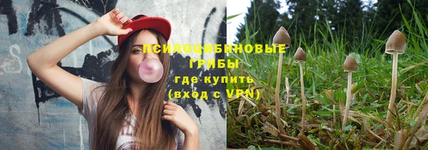 молекула духа Вязники