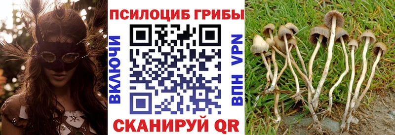 закладки  сайты даркнета наркотические препараты  Галлюциногенные грибы GOLDEN TEACHER  Вологда 